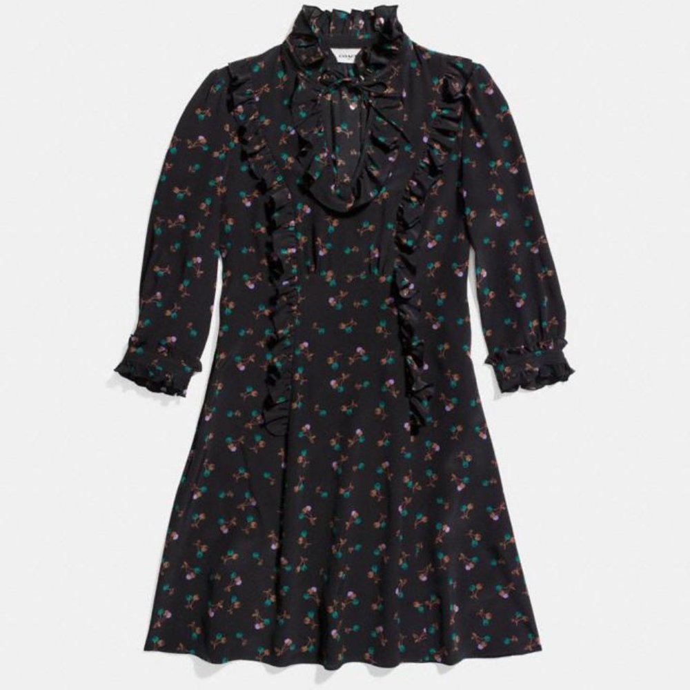 Coach Cherry Print Silk Western Shirt Dress NWT - Picture 2 of 6